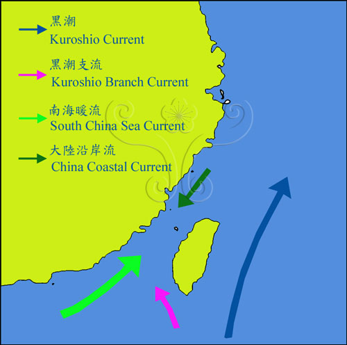 影響臺灣附近海域的主要洋流