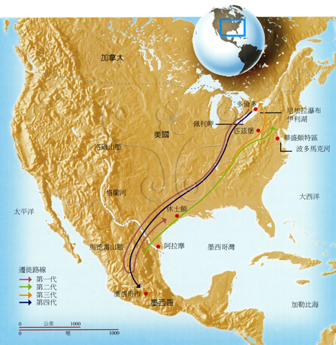 樺斑蝶在北美洲的遷徙路徑。(出處：Marven, N., 1997.中文版《不可思議的旅程－六種動物的自然旅行》，城邦文化發行)