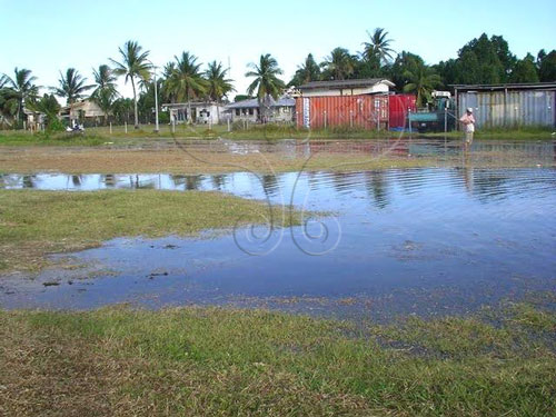 2008年3月吐瓦魯弗納弗提地區 (Funafuti, Tuvalu) 高潮位情況。（黃景旭提供）